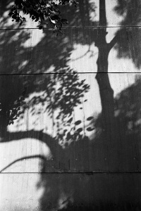 japan_shadow_on_wall