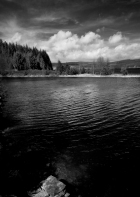 Kielder_Forest_rock_water_trees_and_clouds_(1_of_1)